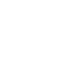 disability