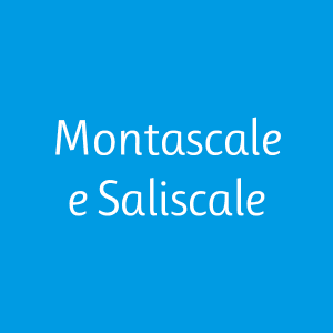 Montascale e Saliscale